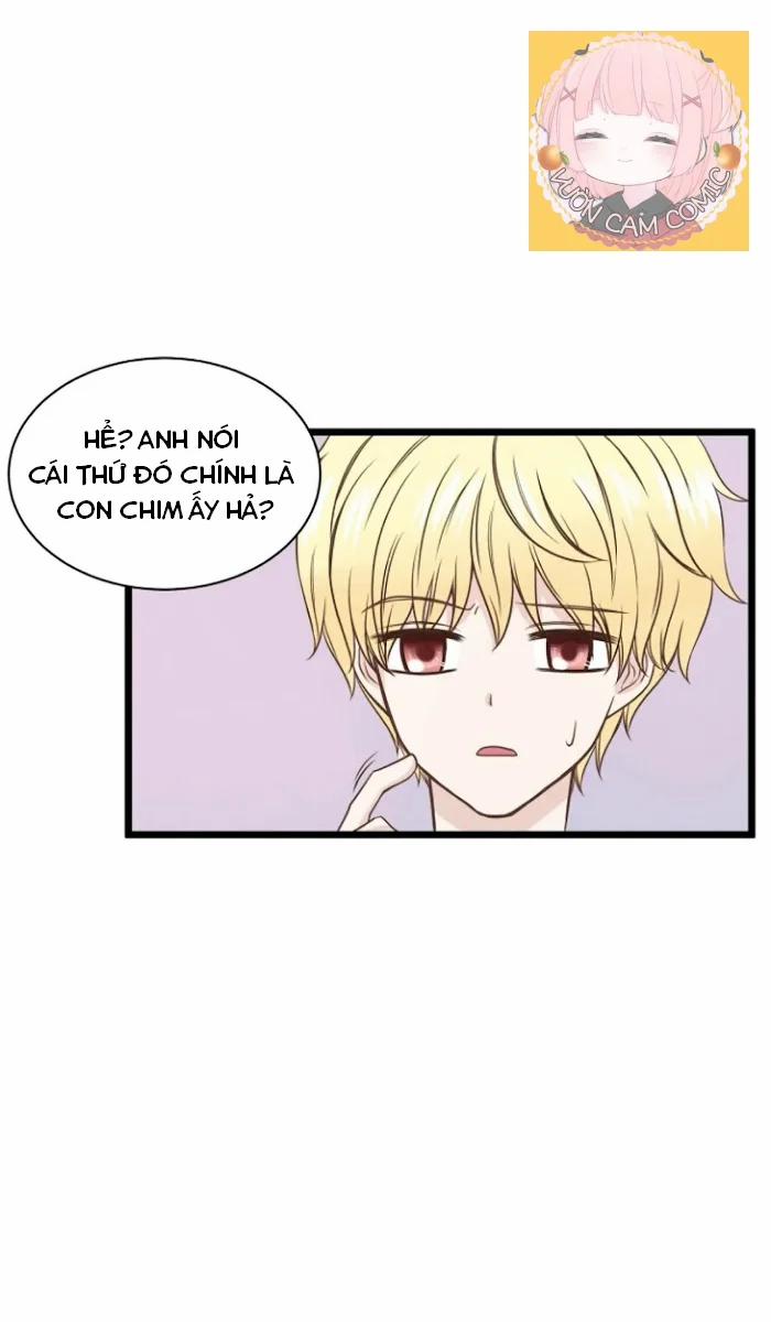 manhwax10.com - Truyện Manhwa Ê, Hoàng Tử ! Chương 1 Trang 26