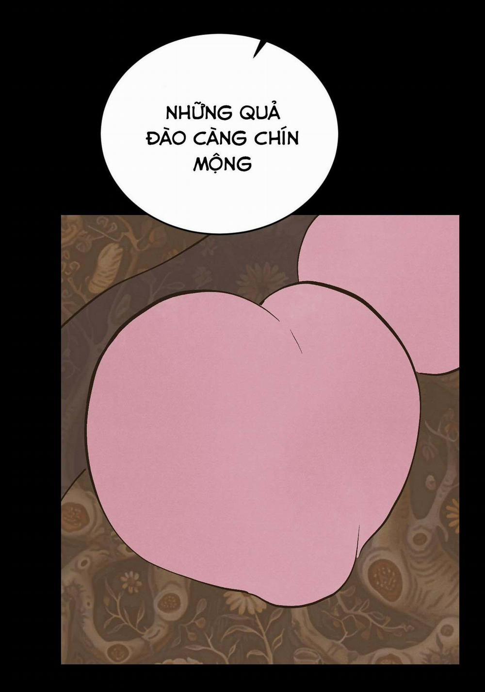 manhwax10.com - Truyện Manhwa (END SS1) PEACH BOY Chương 35 Trang 27