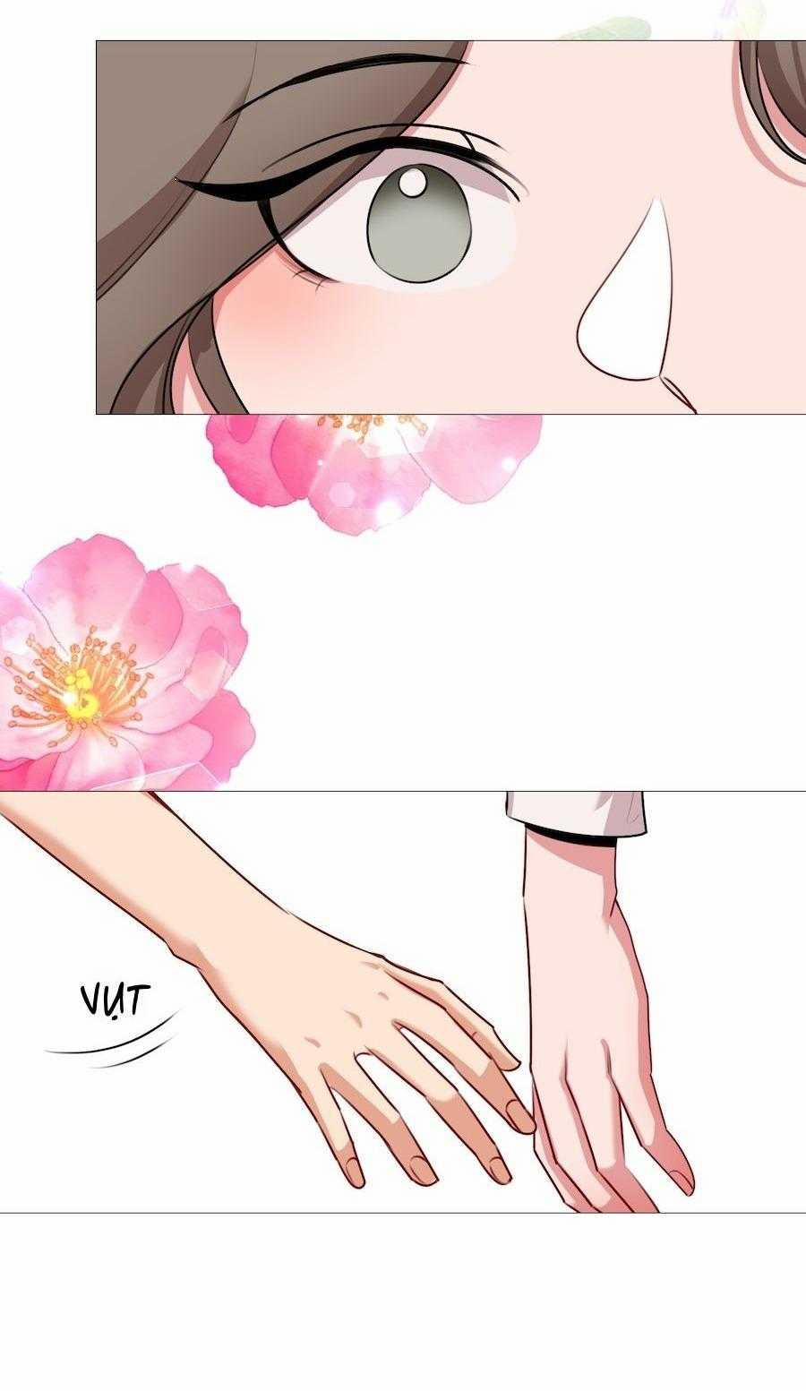 manhwax10.com - Truyện Manhwa Flower Of Youth Chương 34 Trang 13