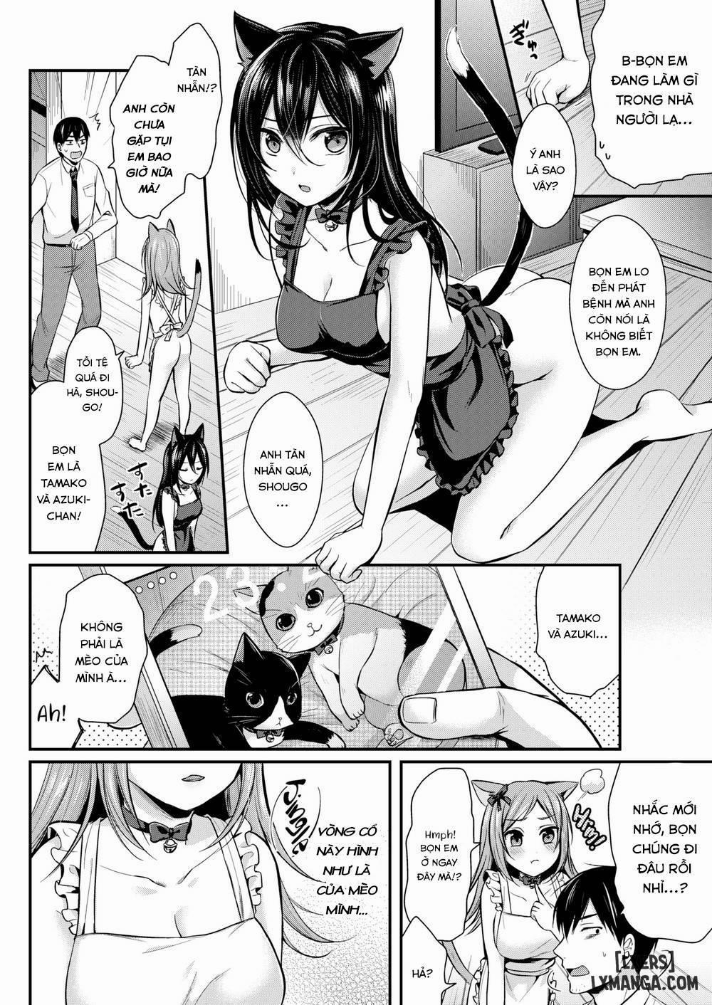 manhwax10.com - Truyện Manhwa Fluffy Healing Chương Oneshot Trang 2