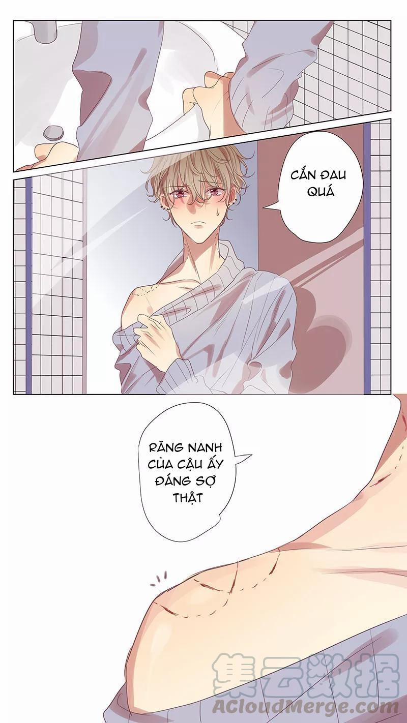 manhwax10.com - Truyện Manhwa Ghét Cậu Thích Cậu Chương 52 Trang 1