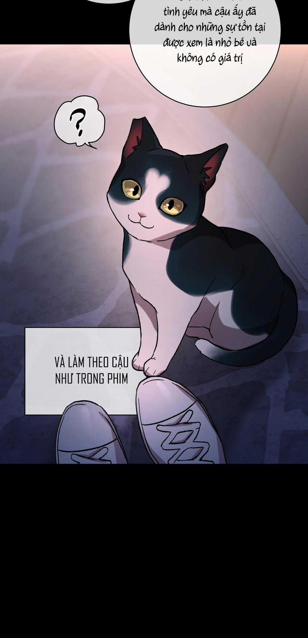 manhwax10.com - Truyện Manhwa GIẢI PHÓNG BẢN THÂN Chương 7 Trang 13