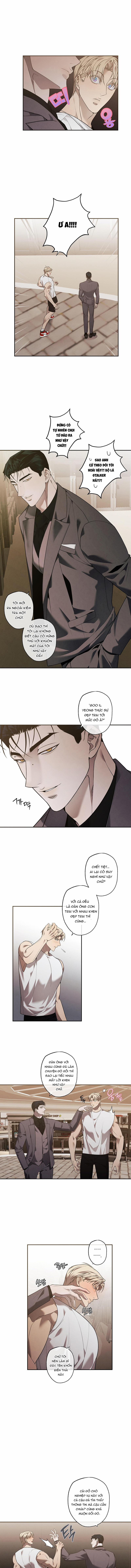 manhwax10.com - Truyện Manhwa Giao Kèo Mafia Chương 12 Trang 4