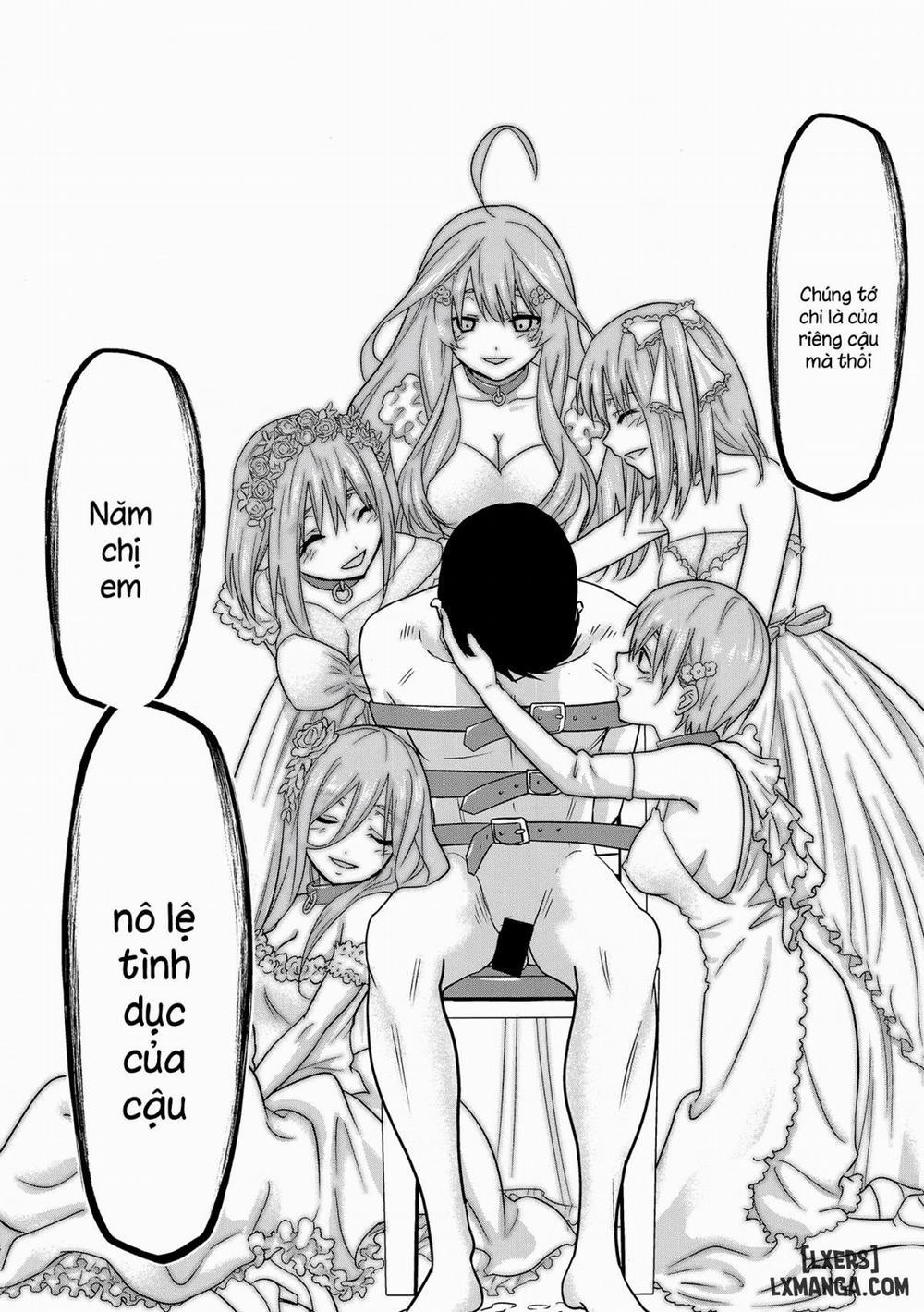 manhwax10.com - Truyện Manhwa Gotoubun no Seidorei Side-D Chương Oneshot Trang 17