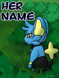 Her Name (Pokemon)