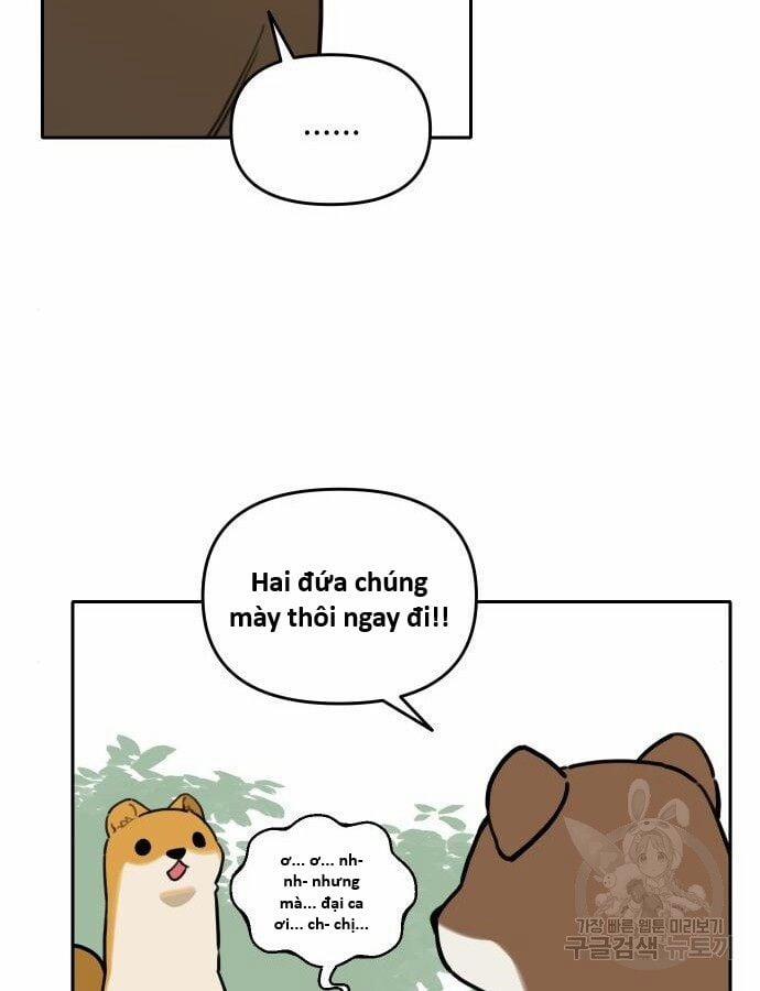 manhwax10.com - Truyện Manhwa Hổ Đến Chơi Nhà Chương 132 Trang 59