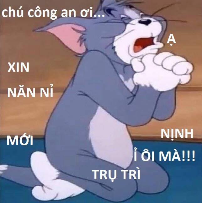 manhwax10.com - Truyện Manhwa Hổ Đến Chơi Nhà Chương 84 Trang 96