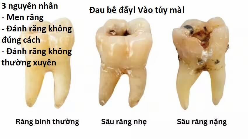 manhwax10.com - Truyện Manhwa Hổ Đến Chơi Nhà Chương 93 Trang 64