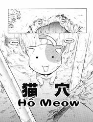 Hố Meow