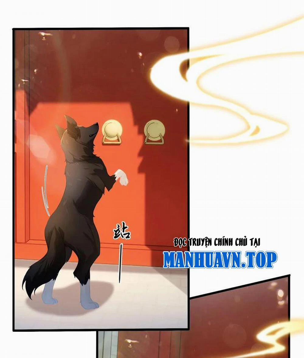 manhwax10.com - Truyện Manhwa Hoá Ra Ta Đã Vô Địch Từ Lâu Chương 179 Trang 13