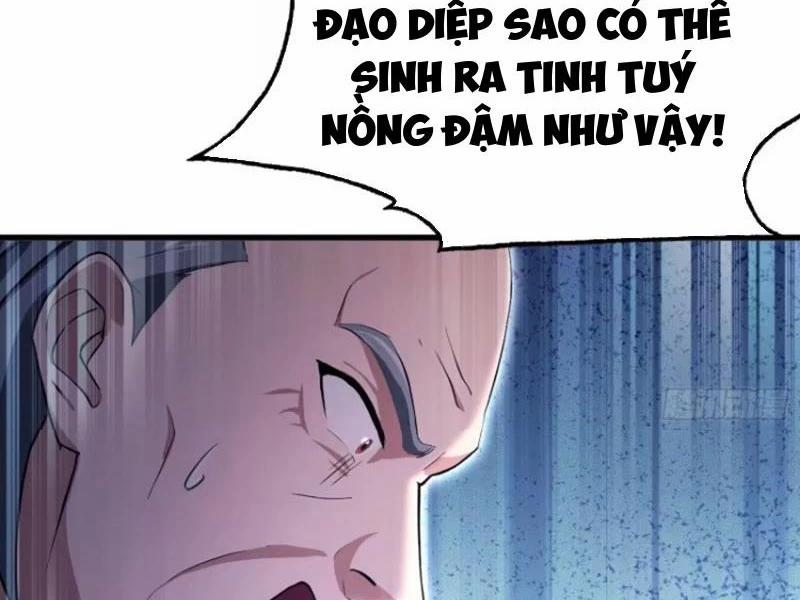 manhwax10.com - Truyện Manhwa Hoá Ra Ta Đã Vô Địch Từ Lâu Chương 205 Trang 17