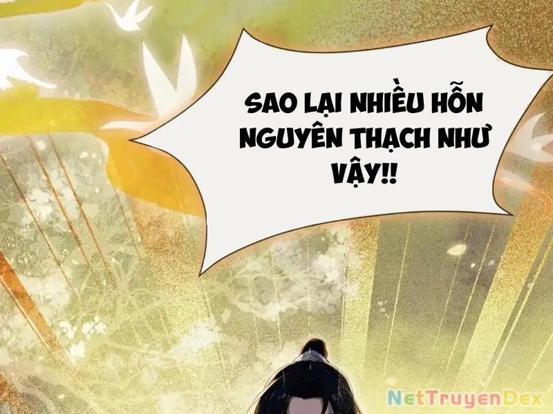 manhwax10.com - Truyện Manhwa Hoá Ra Ta Đã Vô Địch Từ Lâu Chương 225 Trang 11