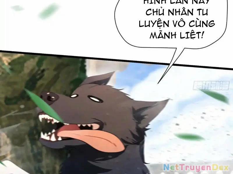 manhwax10.com - Truyện Manhwa Hoá Ra Ta Đã Vô Địch Từ Lâu Chương 225 Trang 41