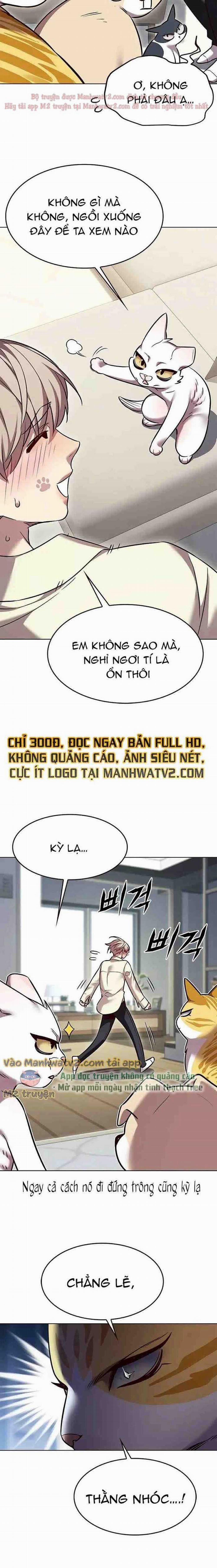 manhwax10.com - Truyện Manhwa Hóa Thân Thành Mèo Chương 304 Trang 18