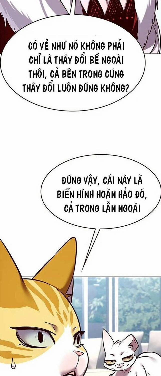 manhwax10.com - Truyện Manhwa Hóa Thân Thành Mèo Chương 308 Trang 56