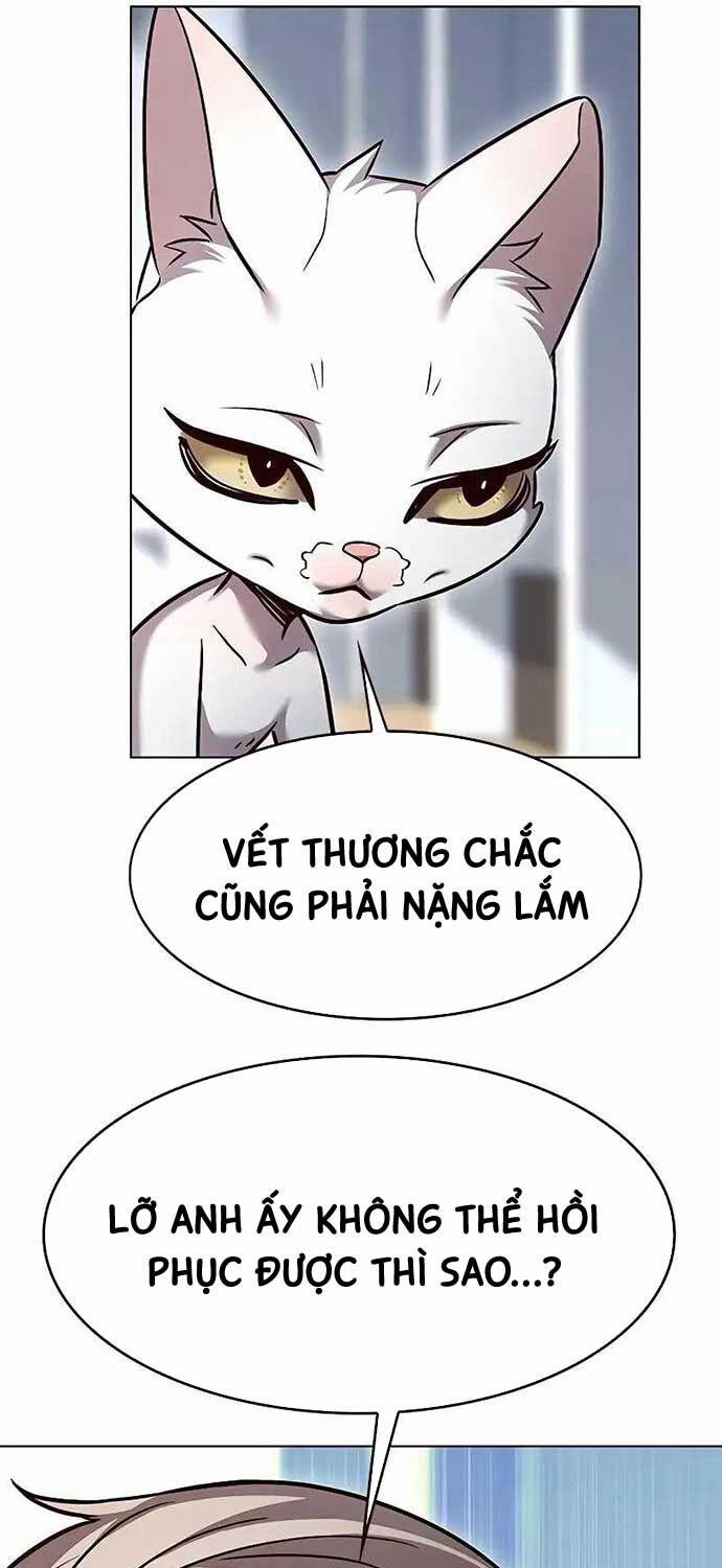 manhwax10.com - Truyện Manhwa Hóa Thân Thành Mèo Chương 323 Trang 11