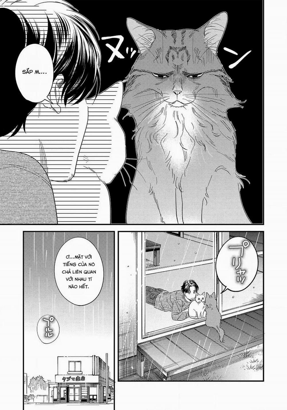 manhwax10.com - Truyện Manhwa [Hoàn] Boku No Omawari-San Chương 12 0 12 Trang 5