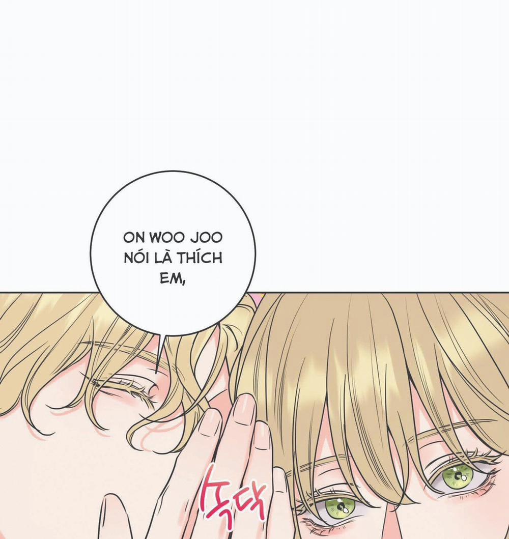 manhwax10.com - Truyện Manhwa Honey Trouble – Rắc Rối Ngọt Ngào Chương 11 Trang 14