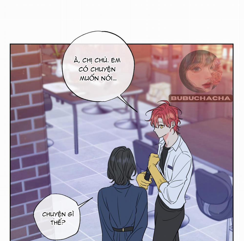 manhwax10.com - Truyện Manhwa Honey Trouble – Rắc Rối Ngọt Ngào Chương 12 Trang 44