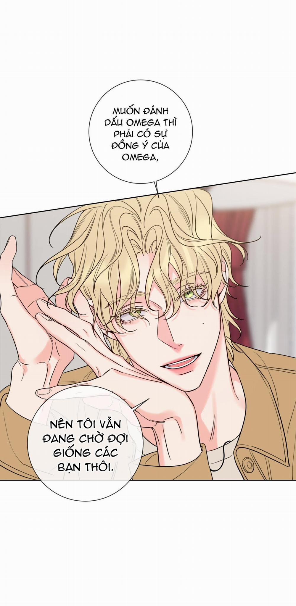 manhwax10.com - Truyện Manhwa Honey Trouble – Rắc Rối Ngọt Ngào Chương 4 Trang 13