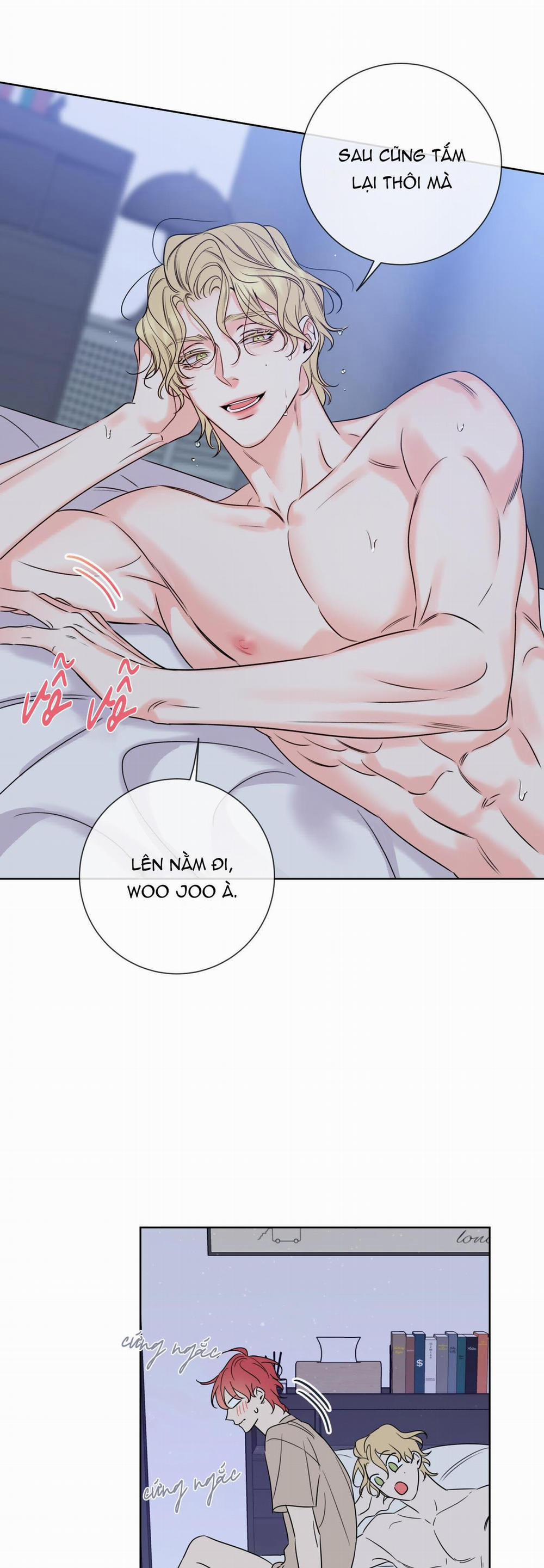 manhwax10.com - Truyện Manhwa Honey Trouble – Rắc Rối Ngọt Ngào Chương 8 Trang 19