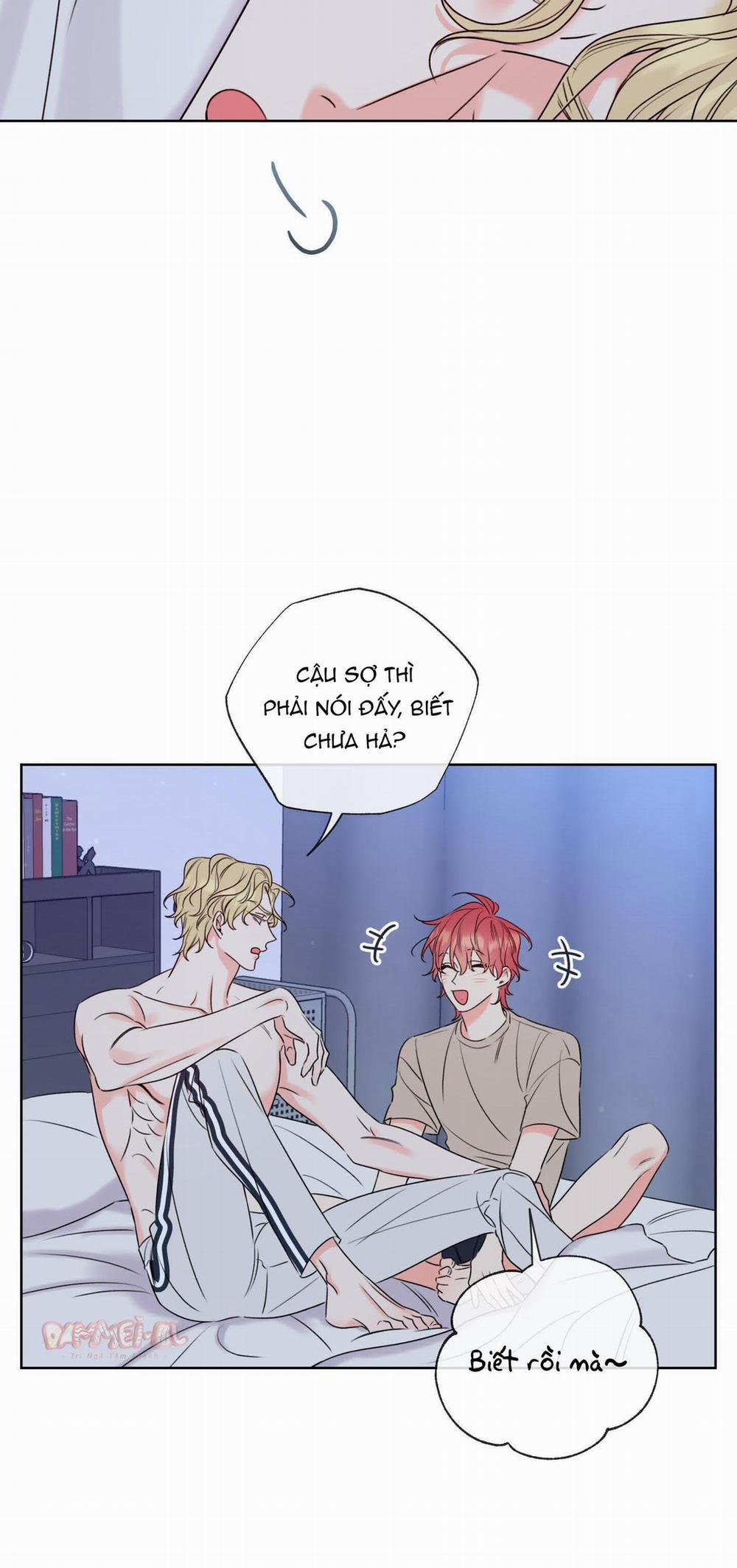 manhwax10.com - Truyện Manhwa Honey Trouble – Rắc Rối Ngọt Ngào Chương 8 Trang 28