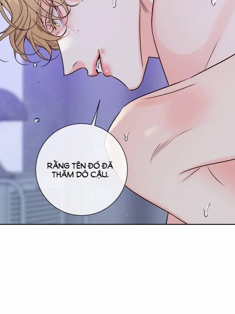 manhwax10.com - Truyện Manhwa Honey Trouble Chương 30 5 Trang 7