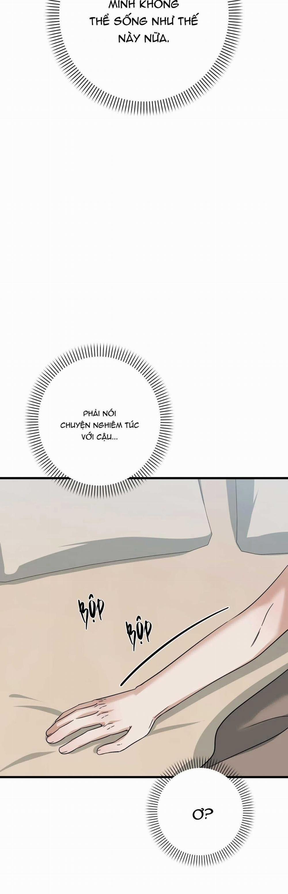 manhwax10.com - Truyện Manhwa Hợp Đồng Kẹo Ngọt Chương 29 Trang 20