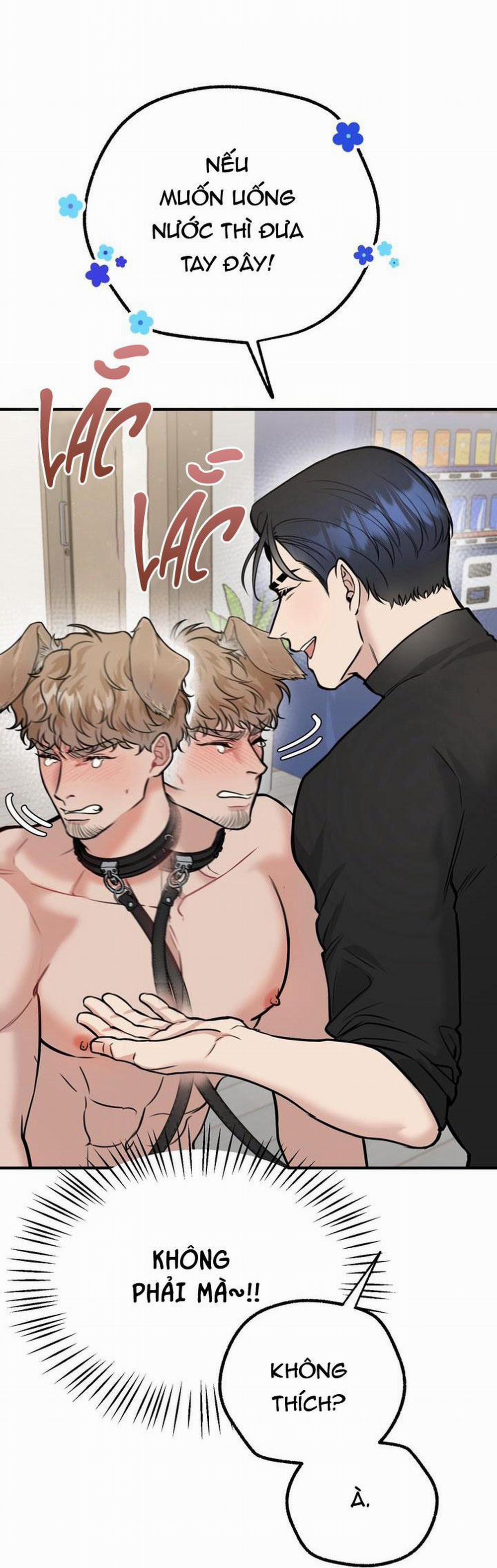 manhwax10.com - Truyện Manhwa HƯỚNG DẪN BDSM CƠ BẢN Chương 14 H Trang 13