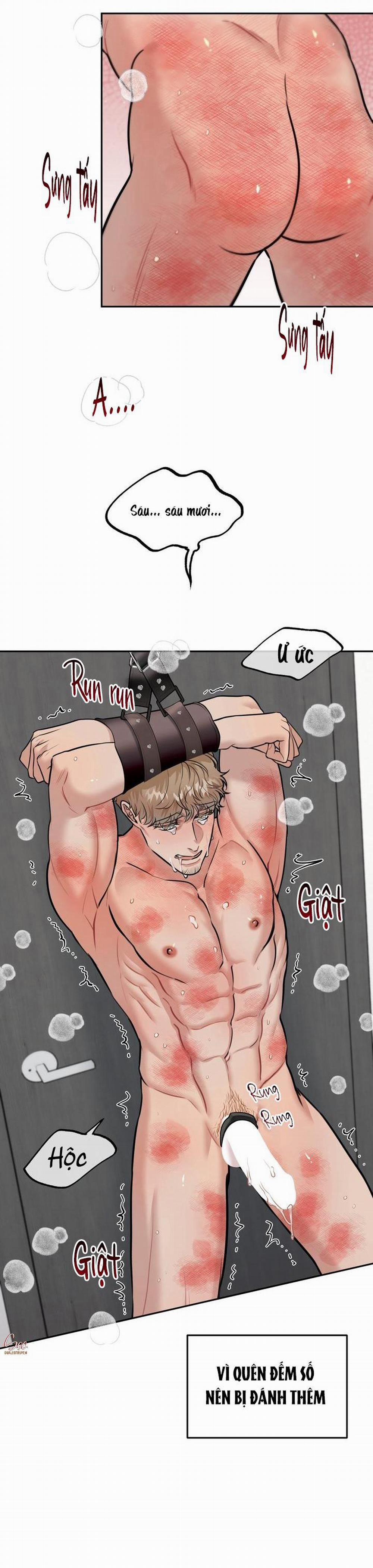 manhwax10.com - Truyện Manhwa HƯỚNG DẪN BDSM CƠ BẢN Chương 8 H Trang 29