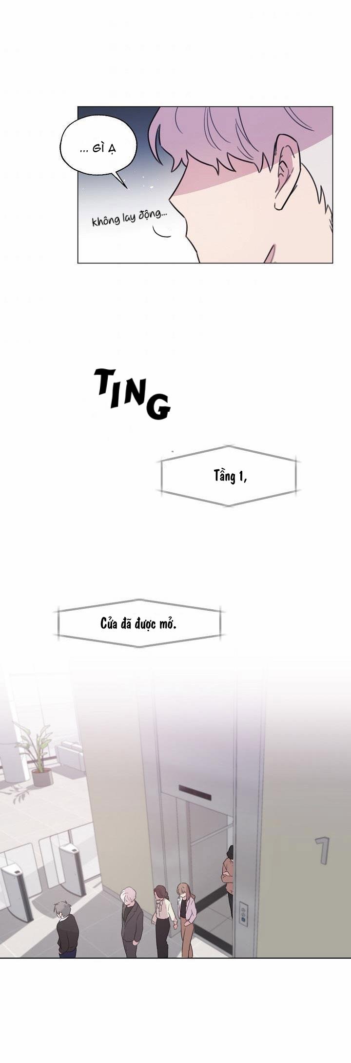 manhwax10.com - Truyện Manhwa Hương Vị Của Rồng Đen Chương 14 Trang 20