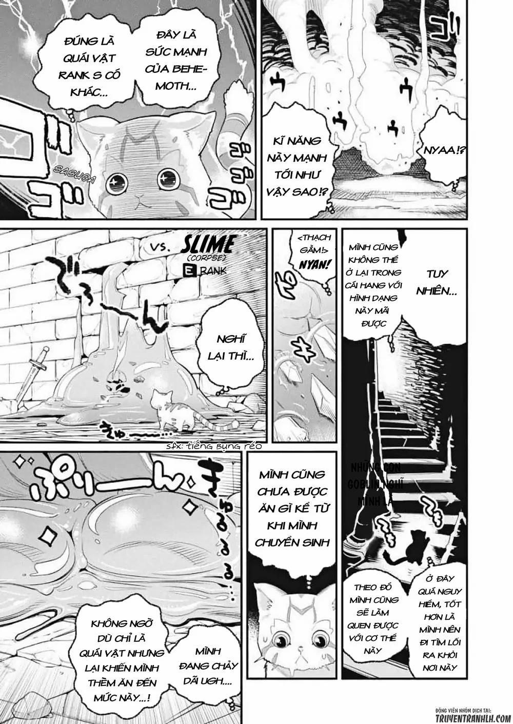 manhwax10.com - Truyện Manhwa I Am Behemoth Of The S Rank Monster But I Am Mistaken As A Cat And I Live As A Pet Of Elf Girl Chương 1 Trang 14