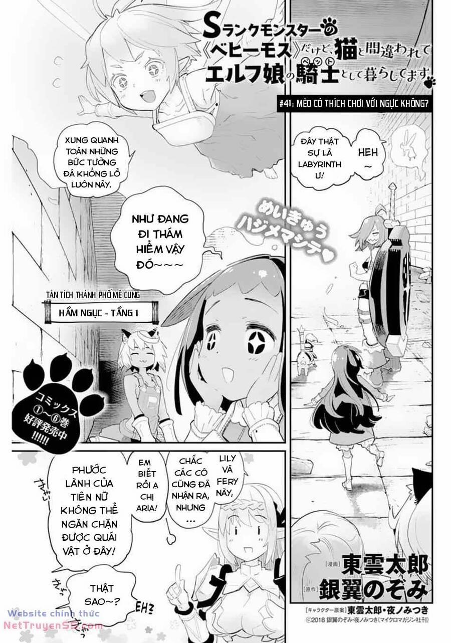 manhwax10.com - Truyện Manhwa I Am Behemoth Of The S Rank Monster But I Am Mistaken As A Cat And I Live As A Pet Of Elf Girl Chương 41 1 Trang 8