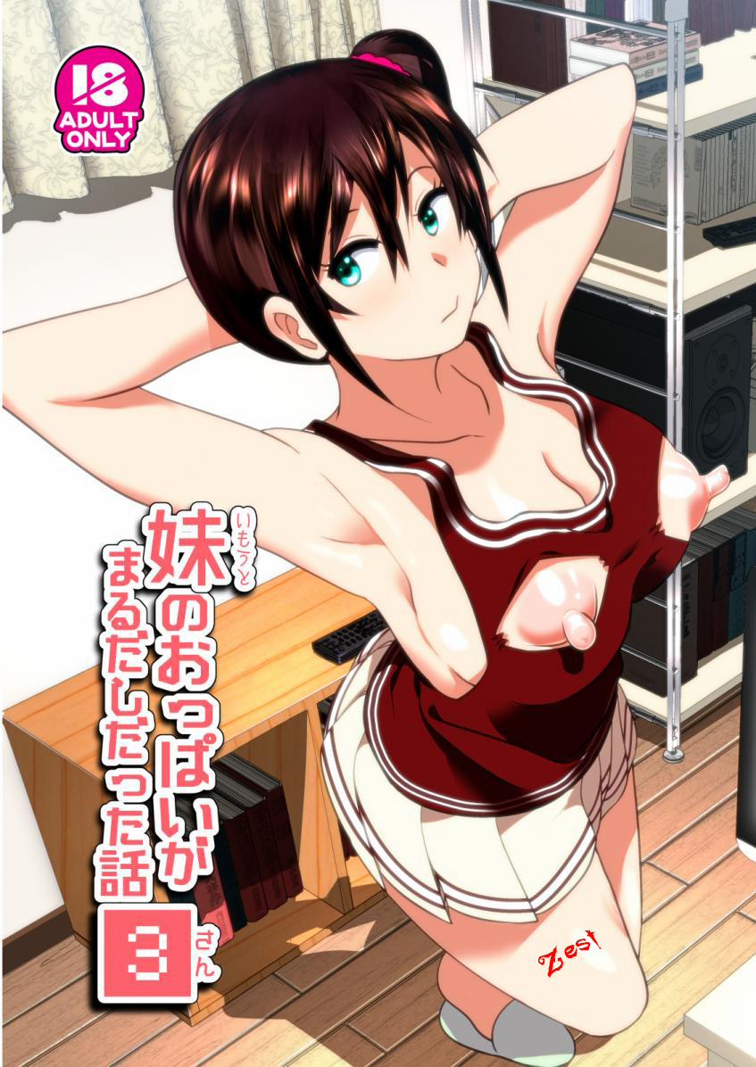 manhwax10.com - Truyện Manhwa Imouto No Oppai Ga Marudashi Datta Hanashi (3,4) Chương 3 Trang 1