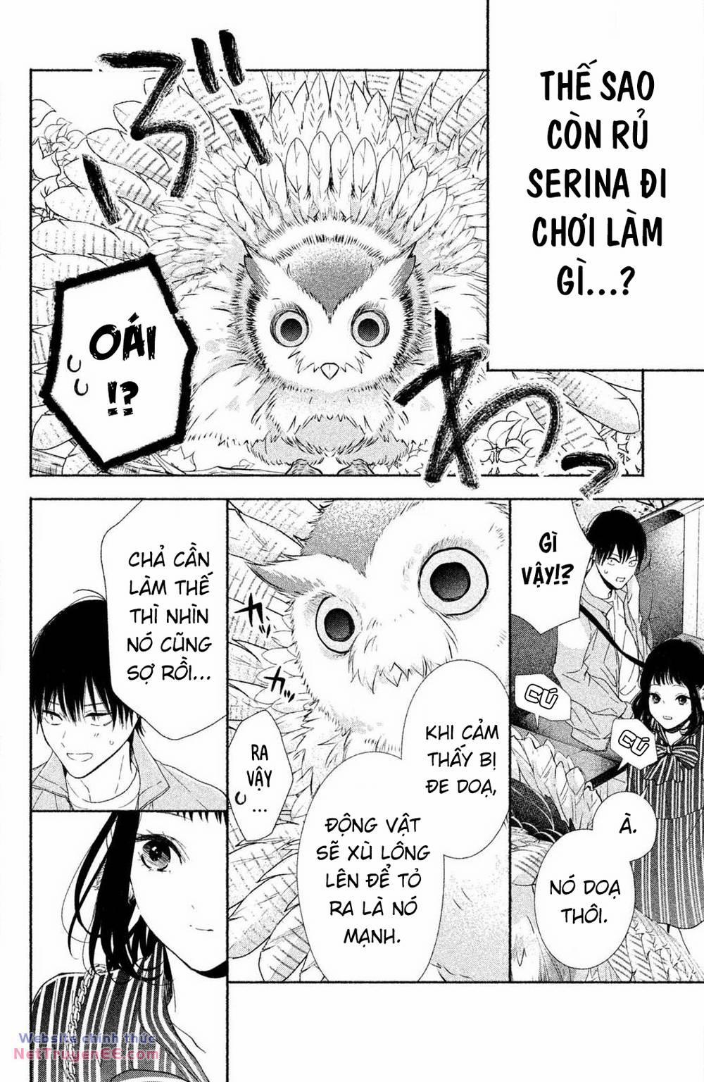 manhwax10.com - Truyện Manhwa Kamiki Kyoudai Okotowari Little Brother Chương 1 Trang 40