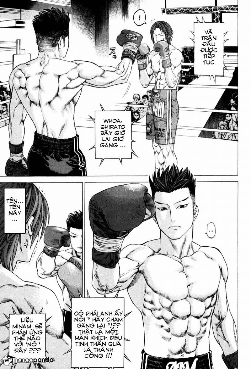 manhwax10.com - Truyện Manhwa Karate Shoukoushi Kohinata Minoru Chương 325 Trang 5