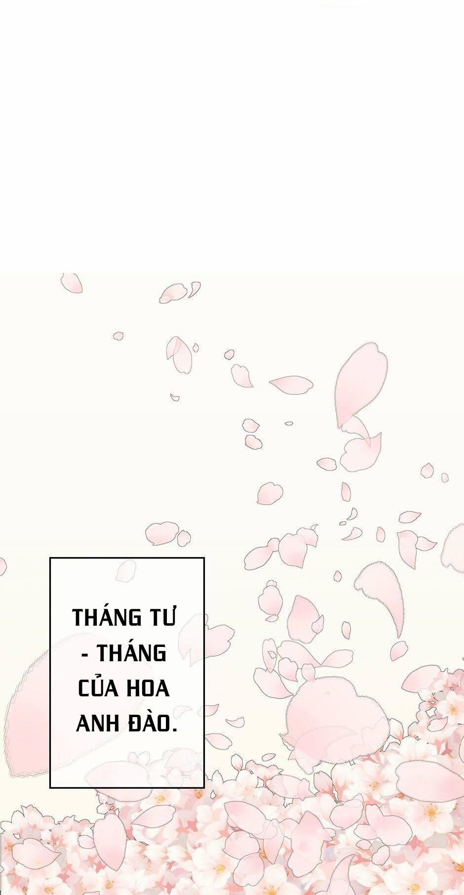 manhwax10.com - Truyện Manhwa Kế hoạch đám cưới của Mr và Mr Chương 1 Trang 9