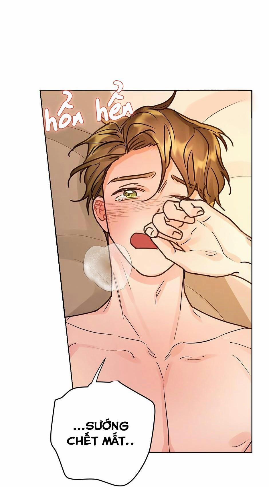 manhwax10.com - Truyện Manhwa Kế hoạch đám cưới của Mr và Mr Chương 19 Trang 13