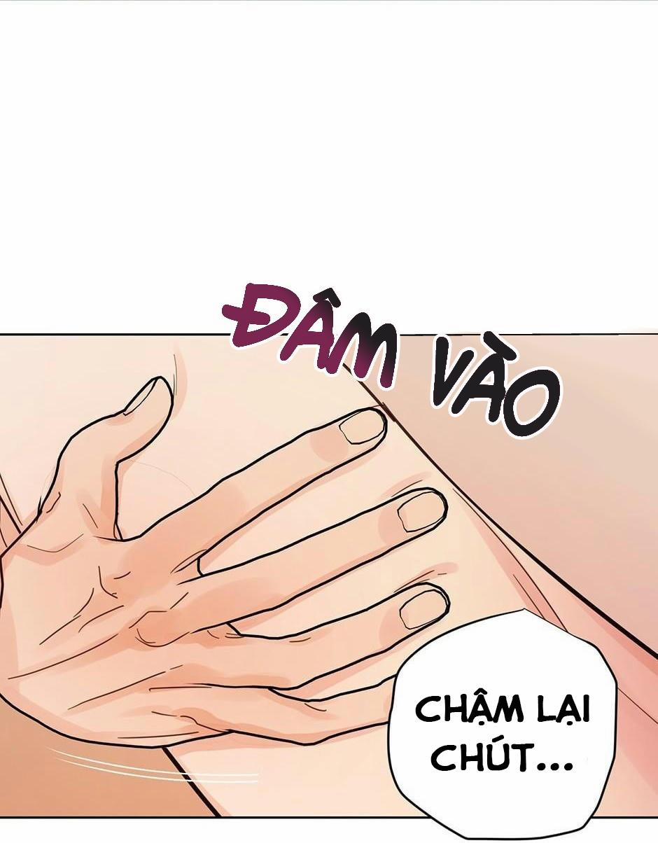 manhwax10.com - Truyện Manhwa Kế hoạch đám cưới của Mr và Mr Chương 19 Trang 9