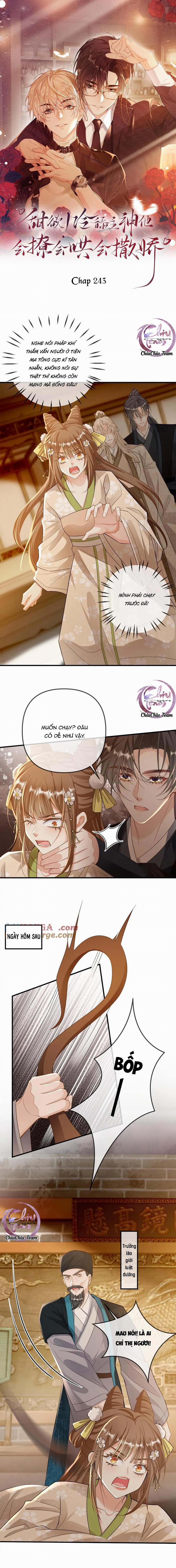 manhwax10.com - Truyện Manhwa Khát Vọng Ngọt Ngào Chương 243 Trang 1