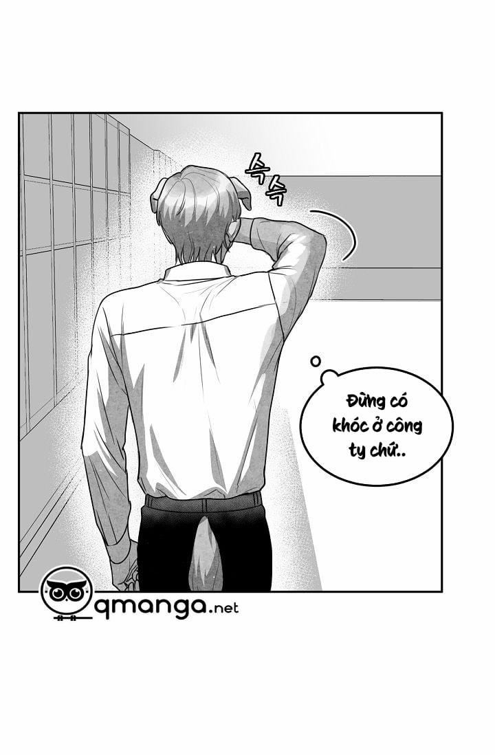 manhwax10.com - Truyện Manhwa Khi Cún Biết Yêu Chương 12 Trang 11