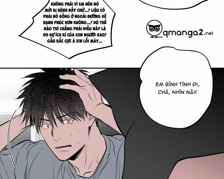 manhwax10.com - Truyện Manhwa Khi Đôi Chân Thôi Bước Chương 0 Ngo i truy n c bi t Trang 15