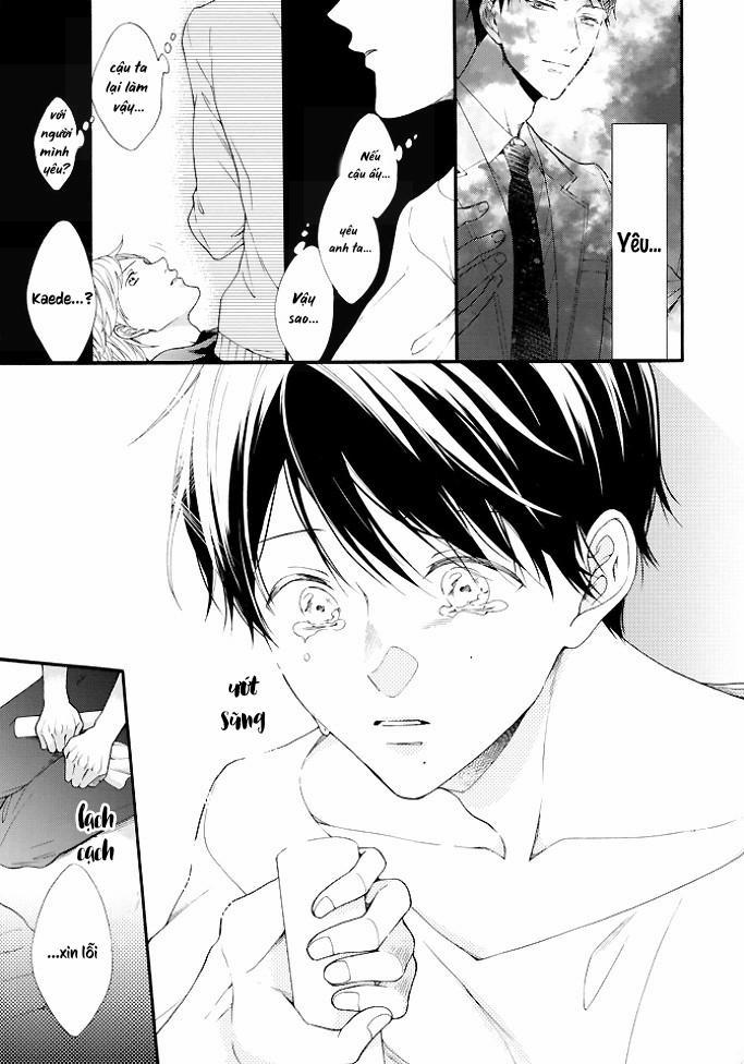 manhwax10.com - Truyện Manhwa Kiss Shite Sugar-kun! Chương 3 Trang 31