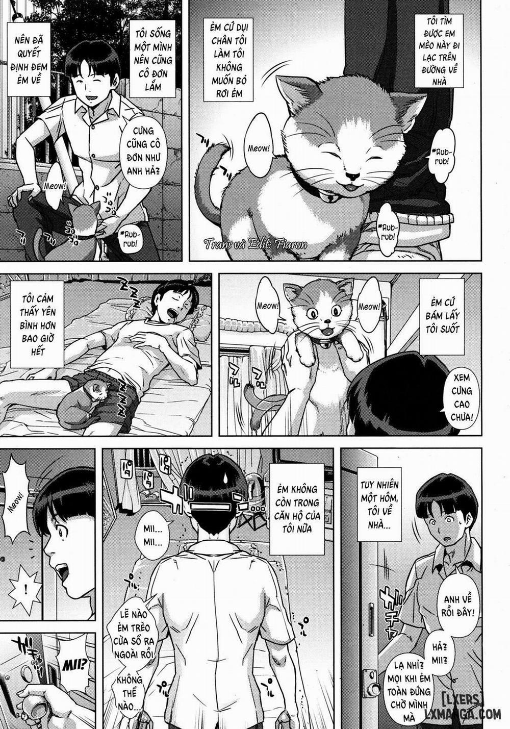 manhwax10.com - Truyện Manhwa Kitten's Gratitude Chương Oneshot Trang 1