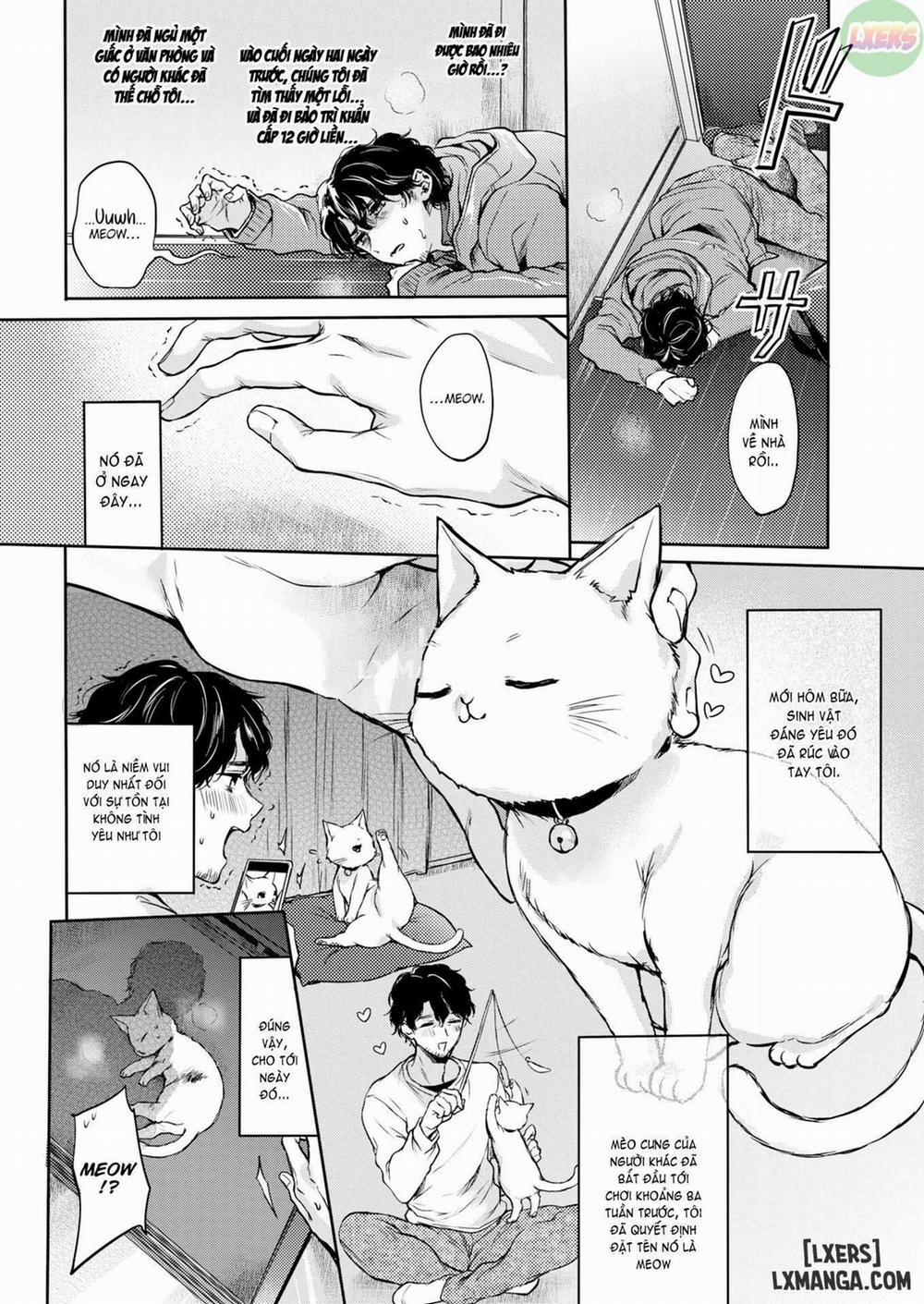 manhwax10.com - Truyện Manhwa Kitty Petting Love Chương Oneshot Trang 2