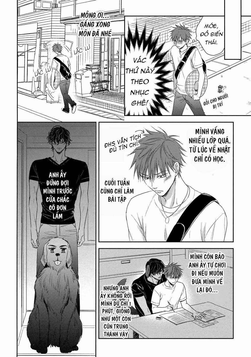 manhwax10.com - Truyện Manhwa Kogare Ouji no Dilemma Chương 0 End Trang 8