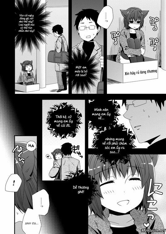 manhwax10.com - Truyện Manhwa Koneko Hiroimashita Chương Oneshot Trang 3