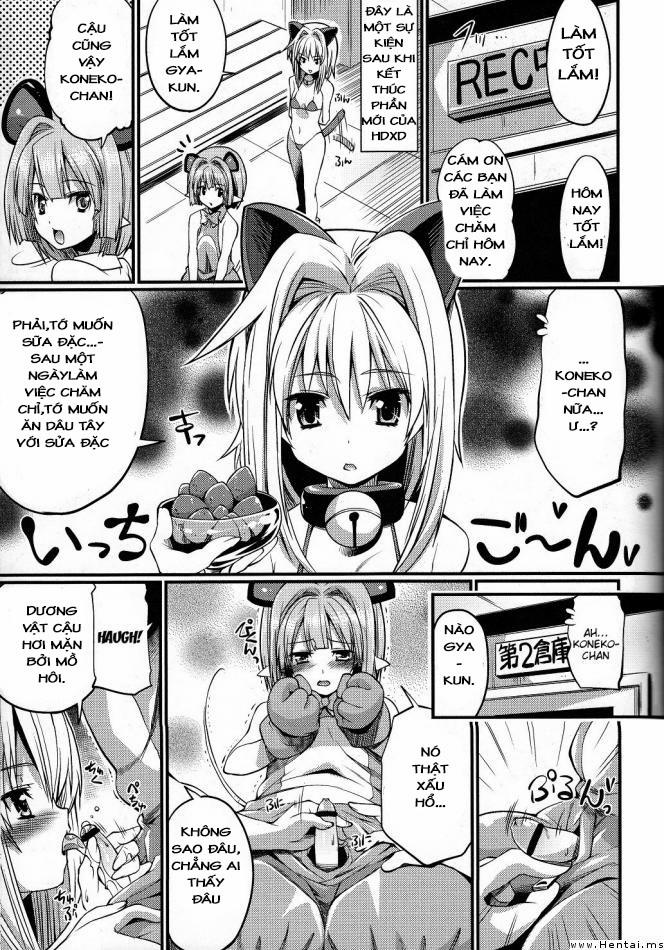 manhwax10.com - Truyện Manhwa Koneko-tan and Gasper-kyun (Highschool DxD) Chương Oneshot Trang 3