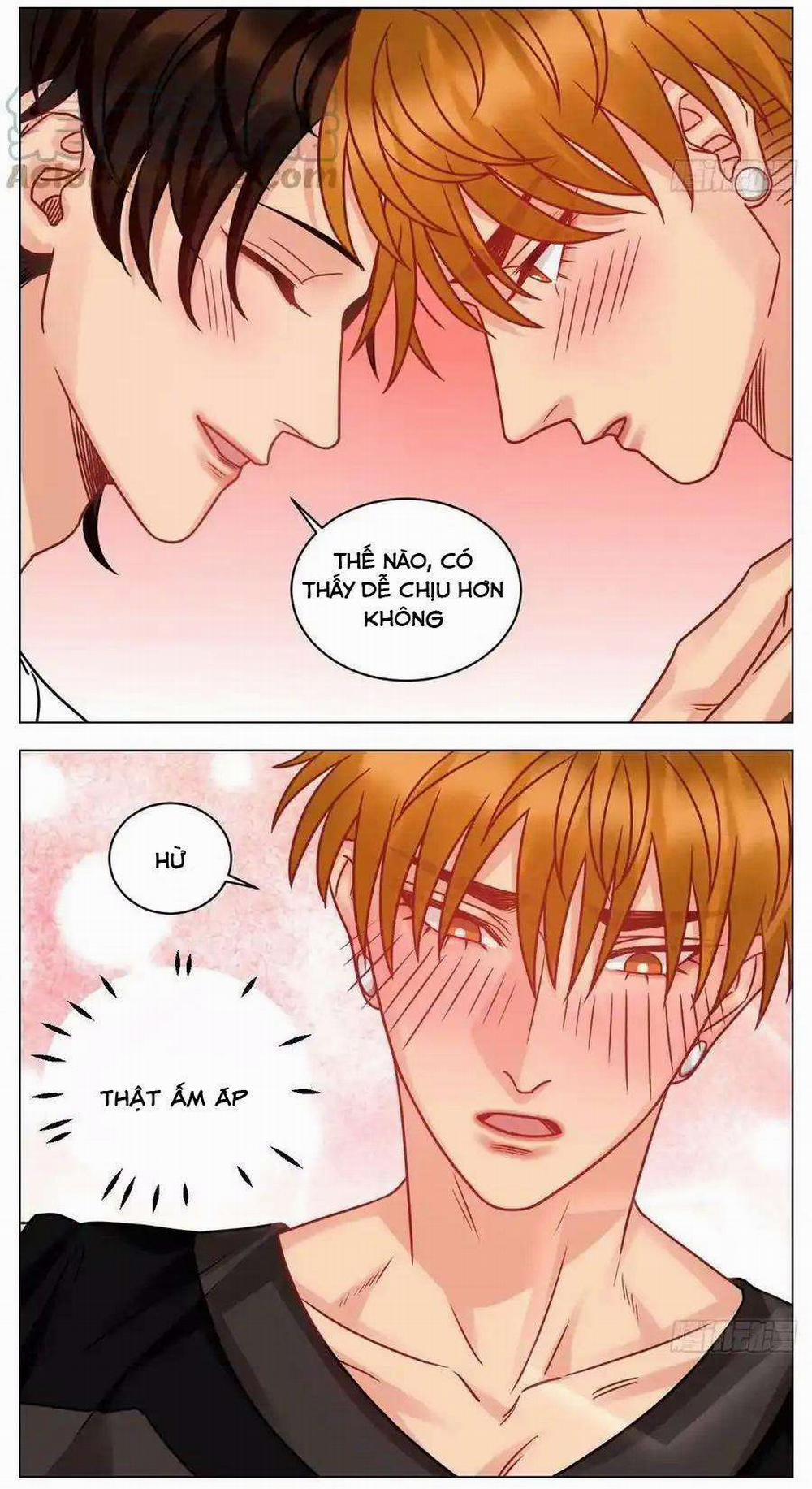 manhwax10.com - Truyện Manhwa Ký túc xá nam phòng 303 Chương 217 Trang 13