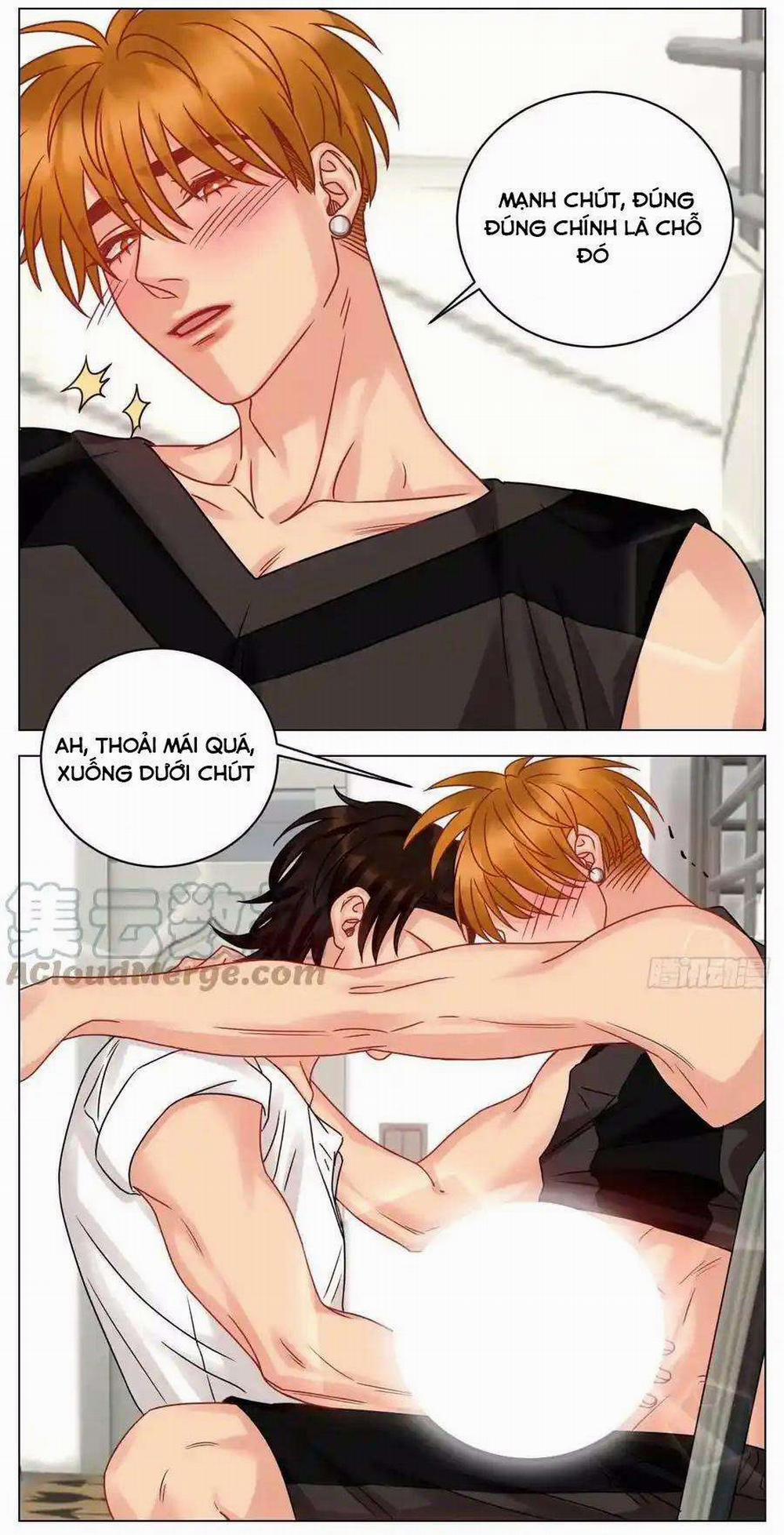 manhwax10.com - Truyện Manhwa Ký túc xá nam phòng 303 Chương 217 Trang 14